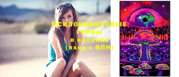 мдпв Бронницы