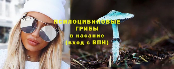 СК Пролетарск