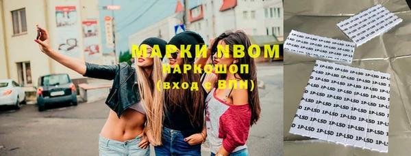 apvp Бородино