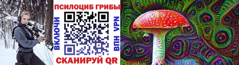 Галлюциногенные грибы Cubensis Семилуки